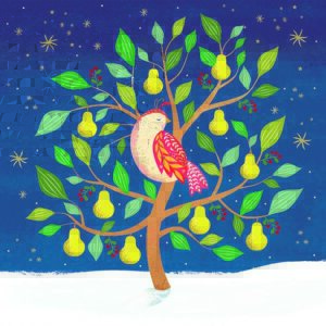 2025 Christmas Cards - Partridge in a Pear Tree