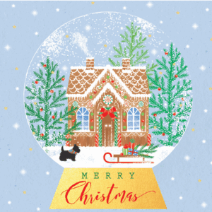 2025 Christmas Cards - Christmas Snow Globe